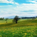 sviatok-dnes-16-maja-co-nemozete-robit-kto-ma-den.webp.webp